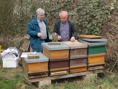 Erste Arbeiten an den Bienenvölkern. (Quelle: R. Haag, 2013)